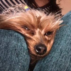 Meet your Posher, Melody